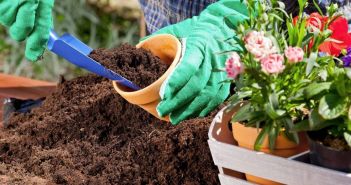 Maßgeschneiderte Verpackungslösungen für Blumenerden und (Foto: AdobeStock - 64612300 gkrphoto)